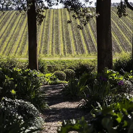 Casa Ruffino Farm stay